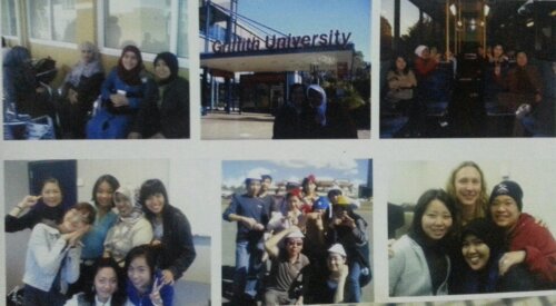 New Friends, New Life image